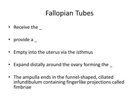 Fallopian Tubes Receive the _ provide a _