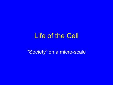 Life of the Cell “Society” on a micro-scale. Learning Objectives 1.What are the characteristics that distinguish prokaryotic and eukaryotic cells? Which.