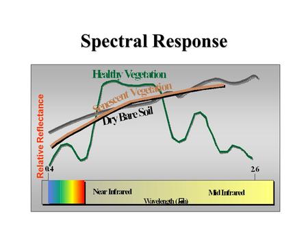 Spectral Response Relative Reflectance Hamantaschen Spectral Response Data.