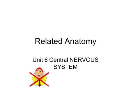 Related Anatomy Unit 6 Central NERVOUS SYSTEM 1. Name the 2 DIVISIONS of the Nervous System CENTRAL brain and spinal cord PERIPHERAL all nerves outside.