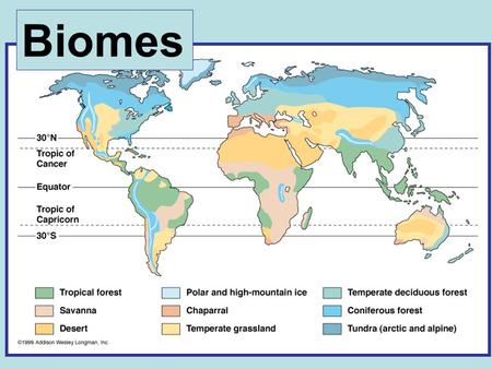 Biomes. Sunlight strikes the Earth It rains in the tropics --- lots. Brazil.