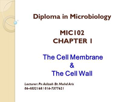 Diploma in Microbiology MIC102 CHAPTER 1 The Cell Membrane & The Cell Wall Lecturer: Pn Aslizah Bt Mohd Aris 06-4832168 / 016-7377621.