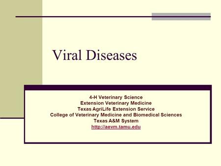 Viral Diseases 4-H Veterinary Science Extension Veterinary Medicine Texas AgriLife Extension Service College of Veterinary Medicine and Biomedical Sciences.