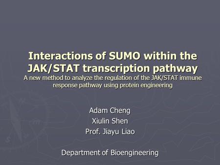 Interactions of SUMO within the JAK/STAT transcription pathway A new method to analyze the regulation of the JAK/STAT immune response pathway using protein.