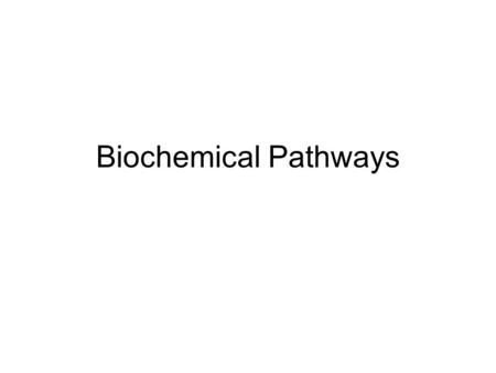 Biochemical Pathways. One Gene, One Polypeptide In the 1930’s, Beadle and Tatum did a series of experiments that went a long ways towards showing what.