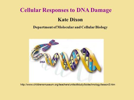 Cellular Responses to DNA Damage Kate Dixon Department of Molecular and Cellular Biology
