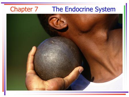 Chapter 7 The Endocrine System.