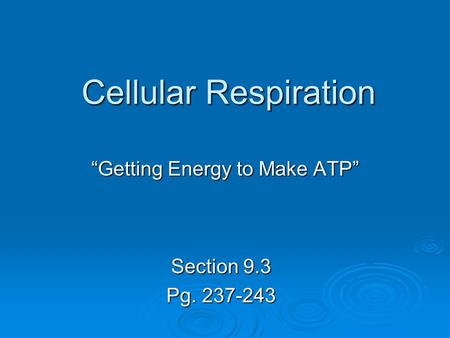 “Getting Energy to Make ATP”