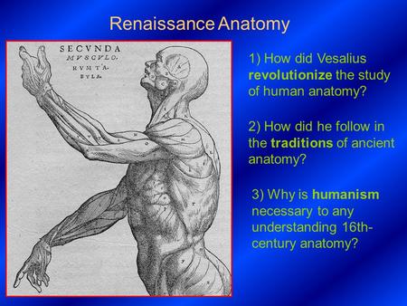 Renaissance Anatomy 1) How did Vesalius revolutionize the study of human anatomy? 2) How did he follow in the traditions of ancient anatomy? 3) Why is.