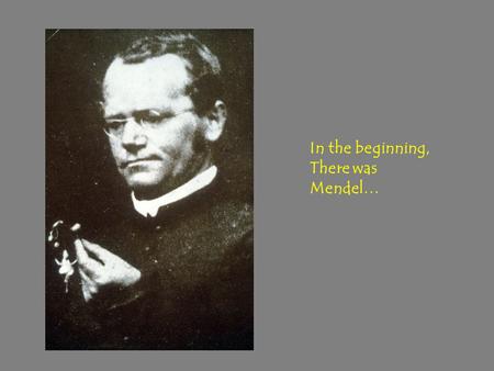 In the beginning, There was Mendel…. MEDICAL GENETICS Human Genetics 501 2002.