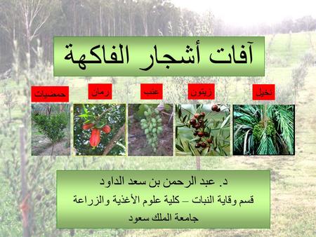 آفات أشجار الفاكهة د. عبد الرحمن بن سعد الداود
