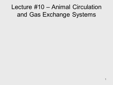 1 Lecture #10 – Animal Circulation and Gas Exchange Systems.