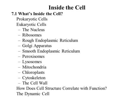 Inside the Cell 7.1 What’s Inside the Cell? Prokaryotic Cells Eukaryotic Cells –The Nucleus –Ribosomes –Rough Endoplasmic Reticulum –Golgi Apparatus –Smooth.