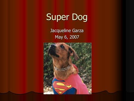 Super Dog Jacqueline Garza May 6, 2007. Observations The movies created last year were all quite boring. The movies created last year were all quite boring.