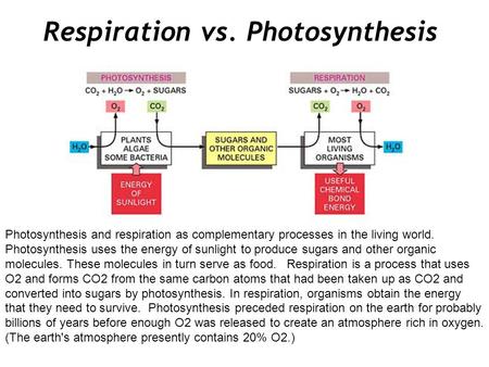 Respiration vs. Photosynthesis Photosynthesis and respiration as complementary processes in the living world. Photosynthesis uses the energy of sunlight.