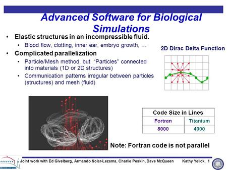 Kathy Yelick, 1 Advanced Software for Biological Simulations Elastic structures in an incompressible fluid. Blood flow, clotting, inner ear, embryo growth,