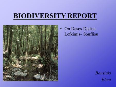 BIODIVERSITY REPORT On Dasos Dadias- Lefkimis- Soufliou Bousiaki Eleni.