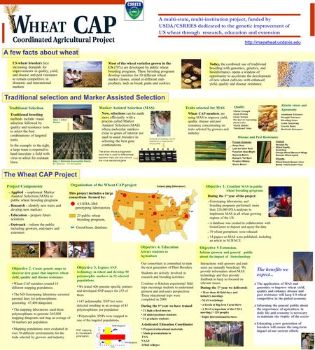 A multi-state, multi-institution project, funded by USDA/CSREES dedicated to the genetic improvement of US wheat through research, education and extension.
