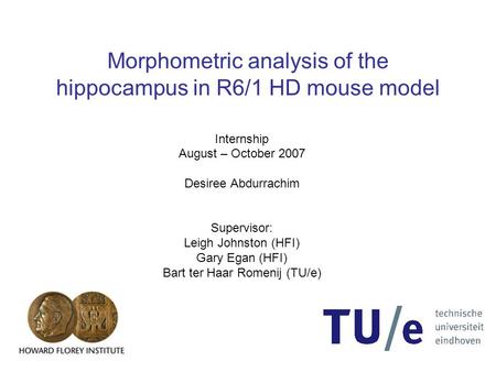Desiree Abdurrachim Morphometric analysis of the hippocampus in R6/1 HD mouse model Internship August – October 2007 Desiree Abdurrachim Supervisor: Leigh.