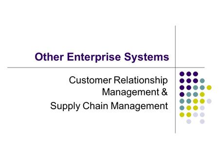 Other Enterprise Systems Customer Relationship Management & Supply Chain Management.