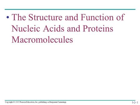 Copyright © 2005 Pearson Education, Inc. publishing as Benjamin Cummings I-2- 1 The Structure and Function of Nucleic Acids and Proteins Macromolecules.