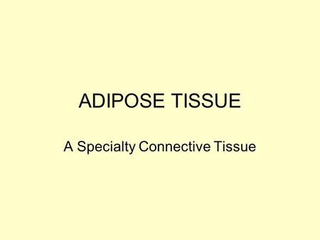 ADIPOSE TISSUE A Specialty Connective Tissue. Function of Adipose Tissue Largest repository of energy in the body –Triglycerides –9.3kcal/g Contributes.