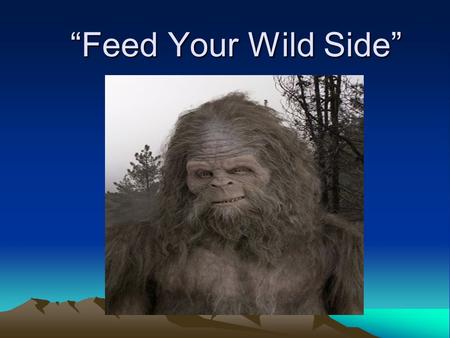 “Feed Your Wild Side”. Jack Links Started from Jack Link in Minong, Wisconsin. Got the idea when he stopped at a local store on his way hunting and.