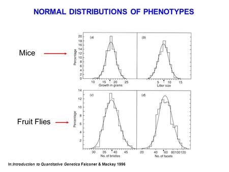 NORMAL DISTRIBUTIONS OF PHENOTYPES Mice Fruit Flies In:Introduction to Quantitative Genetics Falconer & Mackay 1996.