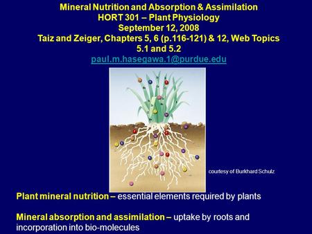 Mineral Nutrition and Absorption & Assimilation