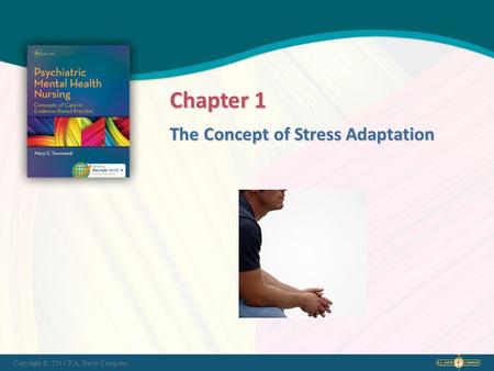 The Concept of Stress Adaptation