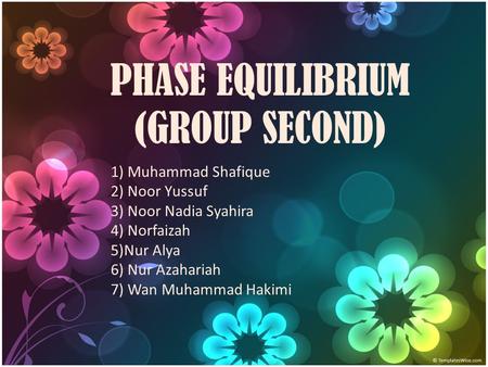 PHASE EQUILIBRIUM (GROUP SECOND) 1) Muhammad Shafique 2) Noor Yussuf 3) Noor Nadia Syahira 4) Norfaizah 5)Nur Alya 6) Nur Azahariah 7) Wan Muhammad Hakimi.