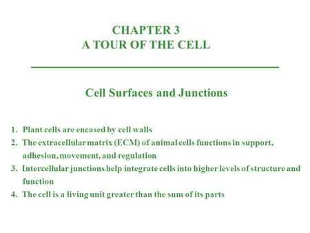 CHAPTER 3 A TOUR OF THE CELL Cell Surfaces and Junctions 1.Plant cells are encased by cell walls 2. The extracellular matrix (ECM) of animal cells functions.