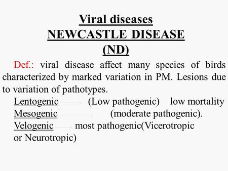 Viral diseases NEWCASTLE DISEASE (ND)