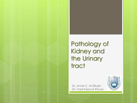 Pathology of Kidney and the Urinary tract Dr. Amar C. Al-Rikabi Dr. Hala Kassouf Kfoury.