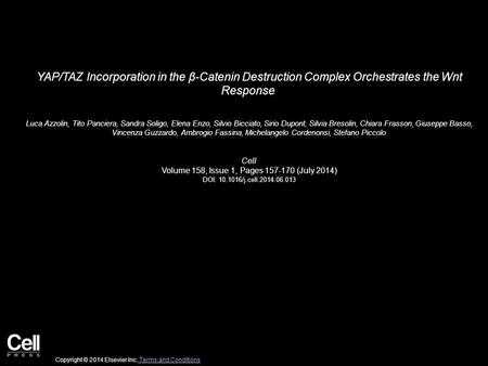 YAP/TAZ Incorporation in the β-Catenin Destruction Complex Orchestrates the Wnt Response Luca Azzolin, Tito Panciera, Sandra Soligo, Elena Enzo, Silvio.