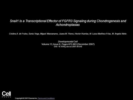 Snail1 Is a Transcriptional Effector of FGFR3 Signaling during Chondrogenesis and Achondroplasias Cristina A. de Frutos, Sonia Vega, Miguel Manzanares,