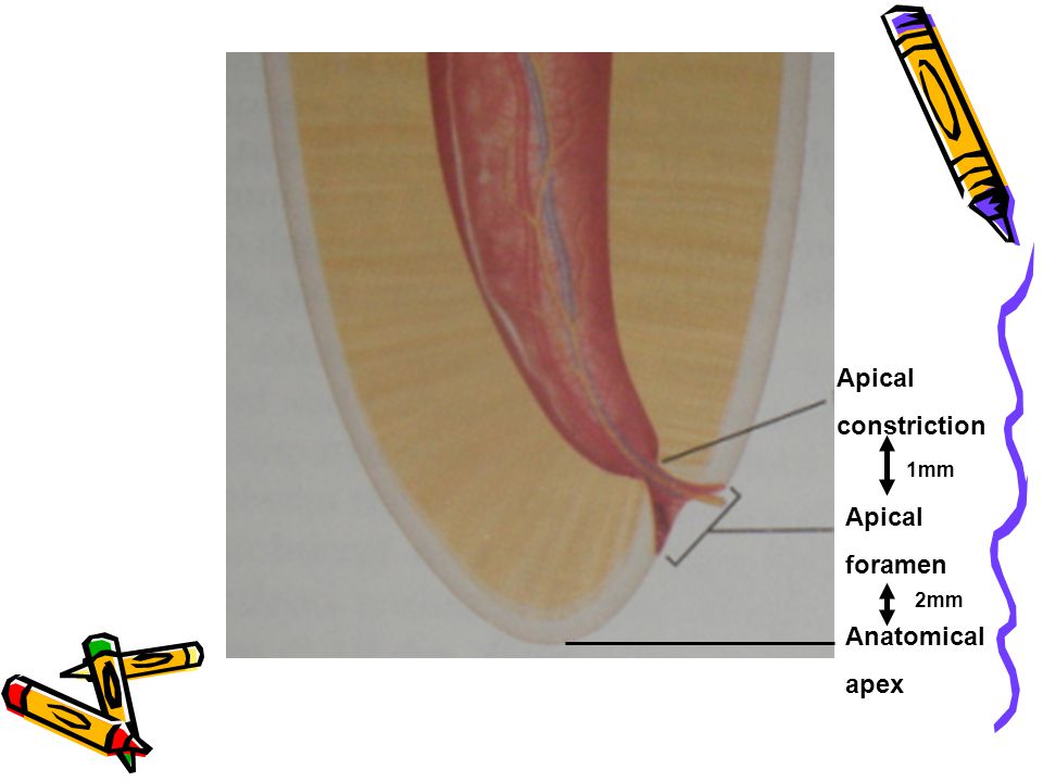 epub gravitational n body simulations tools