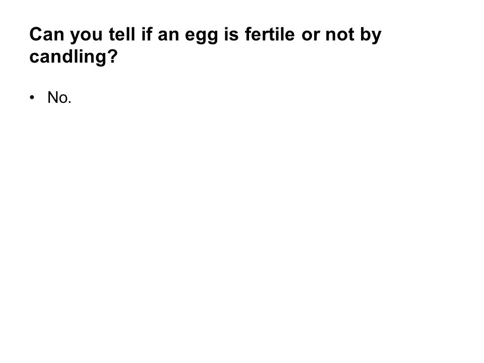 Temperature Effect Sex On Poultry Eggs 56