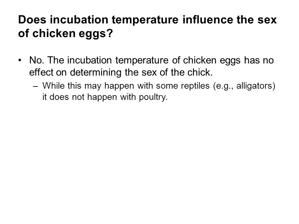 Temperature Effect Sex On Poultry Eggs 34