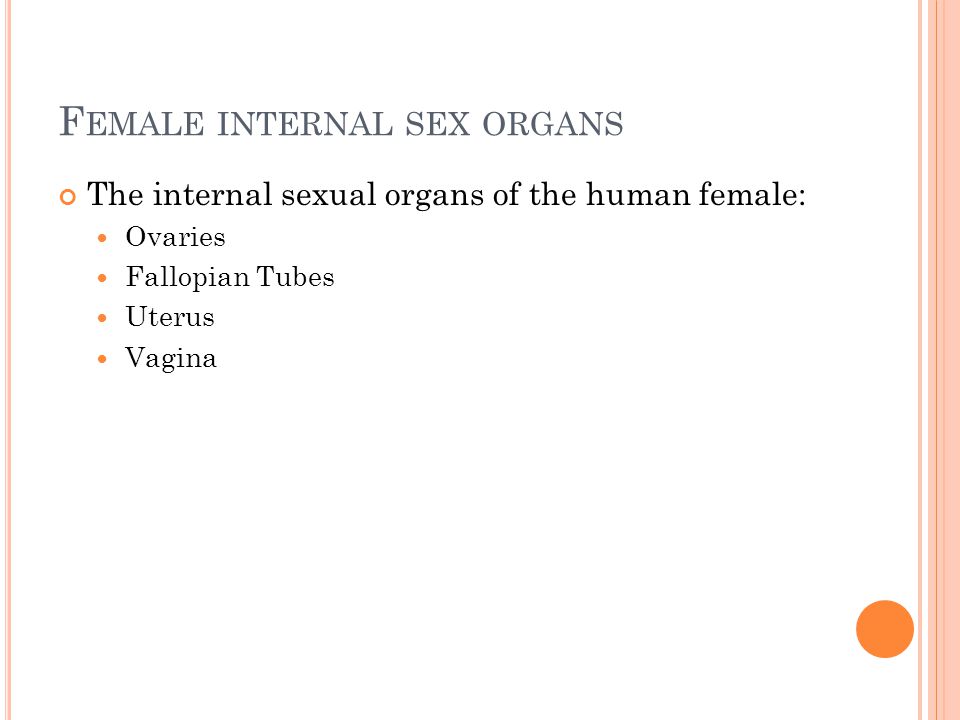Female Internal Sex Organs 107