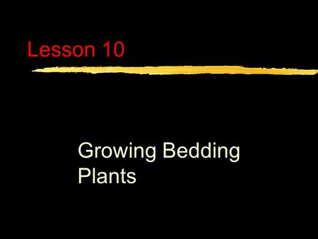 Lesson 10 Growing Bedding Plants. Next Generation Science/Common Core Standards Addressed. zWHST.9 ‐ 12.9 Draw evidence from informational texts to support.