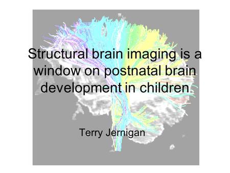 Structural brain imaging is a window on postnatal brain development in children Terry Jernigan.
