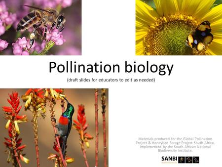 Pollination biology (draft slides for educators to edit as needed) Materials produced for the Global Pollination Project & Honeybee Forage Project South.