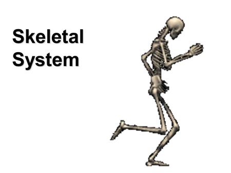 SKELETAL SYSTEM Skeletal System. Support and movement Protection (brain, lungs) Mineral Storage of Calcium and Phosphate Red Blood Cell Production (long.