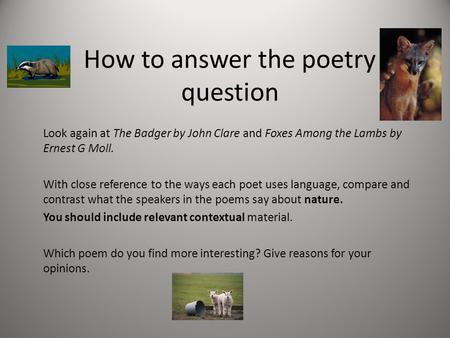 How to answer the poetry question