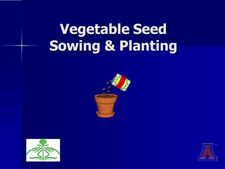 Vegetable Seed Sowing & Planting