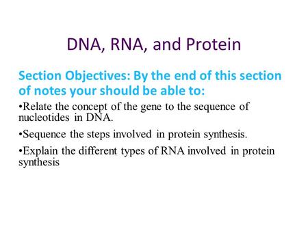DNA, RNA, and Protein Section Objectives: By the end of this section of notes your should be able to: Relate the concept of the gene to the sequence of.