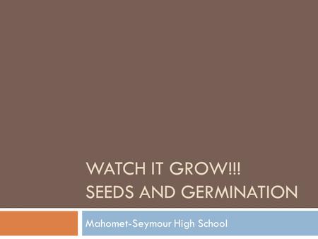 Watch it Grow!!! Seeds and germination