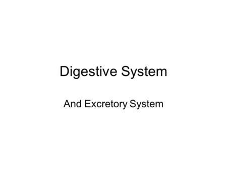 Digestive System And Excretory System.