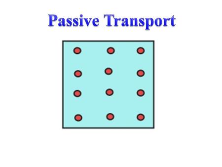 Passive Transport Passive transport: Cell spends no energy (ATP) to move molecules Does this kayaker need to spend his energy in order to move?